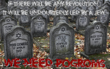 Pogroms, Not Revolution