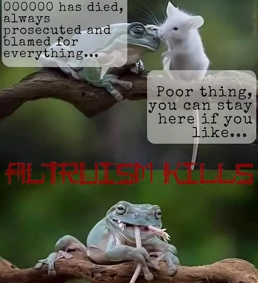 Altruism Kills - A Frog Eats a Hospitable Mouse